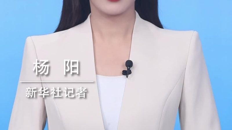 金融大数据分析产品的优与劣：揭秘其核心价值与潜在风险**